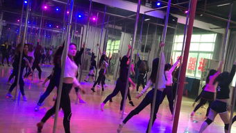 佛山專業(yè)舞蹈培訓 轉(zhuǎn)折 國際舞蹈連鎖培訓機構(gòu)爵士舞鋼管舞酒吧領(lǐng)舞道具秀瑜伽少兒爵士 吊環(huán)