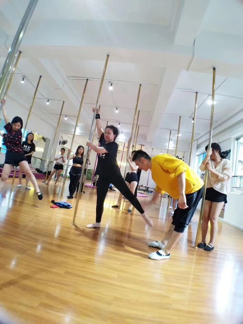 圖 成都舞蹈培訓 專業鋼管舞爵士舞培訓 優惠活動火熱報名中 成都文體培訓