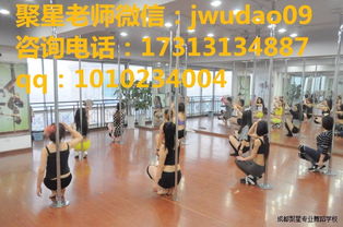 圖 成都鋼管舞基礎(chǔ)訓(xùn)練鋼管舞培訓(xùn)機(jī)構(gòu) 鋼管舞0基礎(chǔ) 成都文體培訓(xùn)