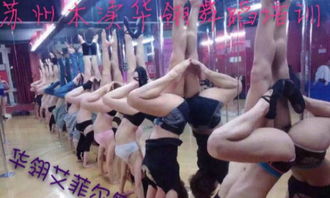 寒假蘇州鋼管舞健身班培訓 學鋼管舞減肥塑形