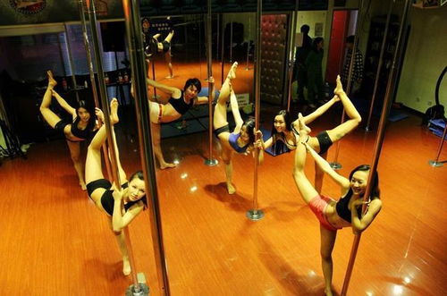 管道會議邀美女跳鋼管舞沒錯 允許鋼管舞存在,就該允許公開表演