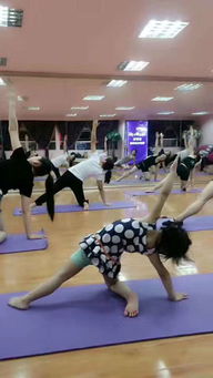 紫羅蘭鋼管瑜伽舞蹈工作室