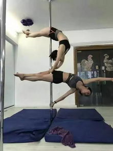 成都鋼管舞 暑期鋼管舞培訓(xùn) 爵士舞暑期班