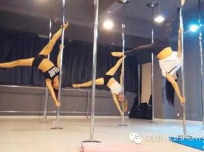 圖 成都星秀鋼管舞 爵士舞 四川專業(yè)鋼管舞培訓(xùn)機構(gòu) 成都文體培訓(xùn)