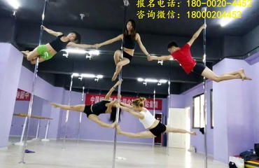 南昌專業鋼管舞培訓與職業教練班——舞動夢想，鑄就專業舞臺